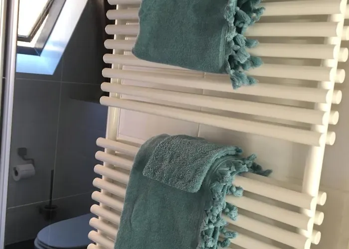 Het Rode Hert 4* Дусбург