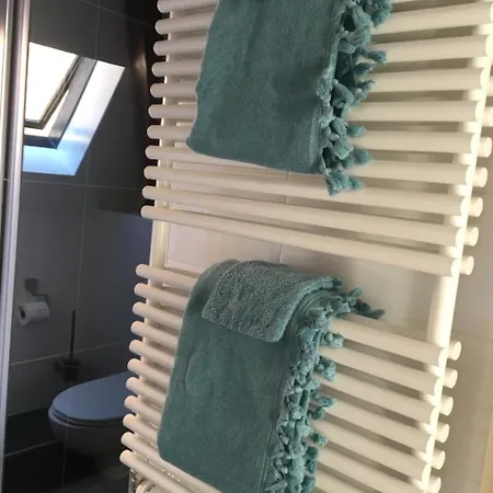 Het Rode Hert 4* Doesburg