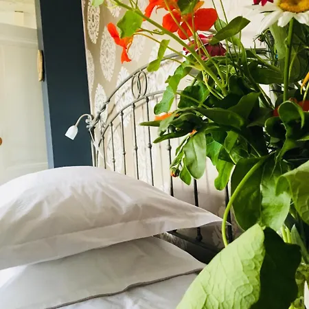 Bed & Breakfast Het Rode Hert 4*