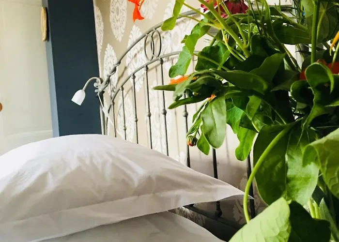 Bed & Breakfast Het Rode Hert 4*