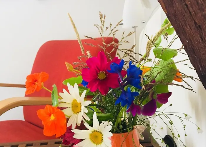 Het Rode Hert 4* Doesburg